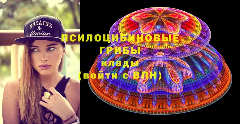 нарко площадка телеграм  Симферополь  mega ссылка  Псилоцибиновые грибы Magic Shrooms  наркотики 